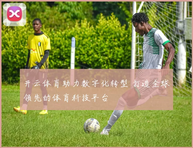 开云体育助力数字化转型 打造全球领先的体育科技平台