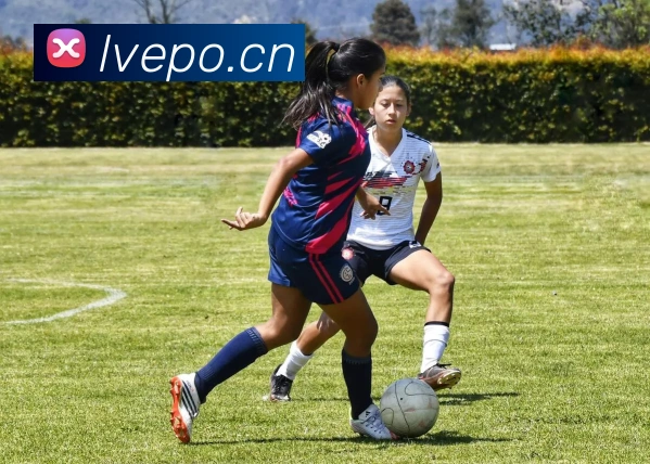 开云官网发展历程