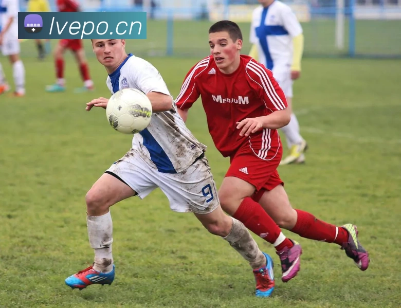 开云体育APP引领数字观赛新时代打造安全便捷互动娱乐体验升级